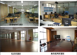 市場(chǎng)營(yíng)銷策劃精品課程網(wǎng)站 賦能新時(shí)代營(yíng)銷人才的數(shù)字平臺(tái)